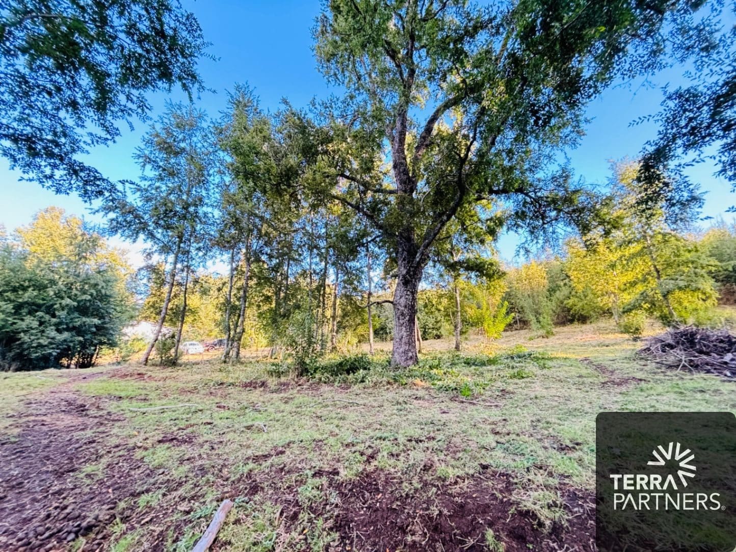 Parcela en venta en Pucón — foto 3