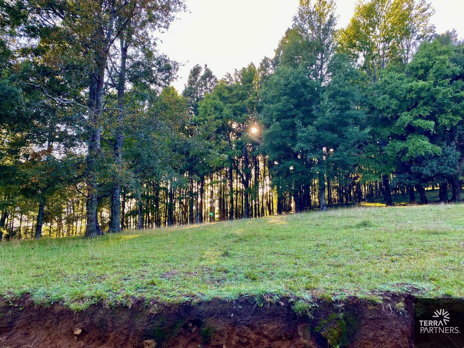 Parcela en venta en Pucón — foto 9