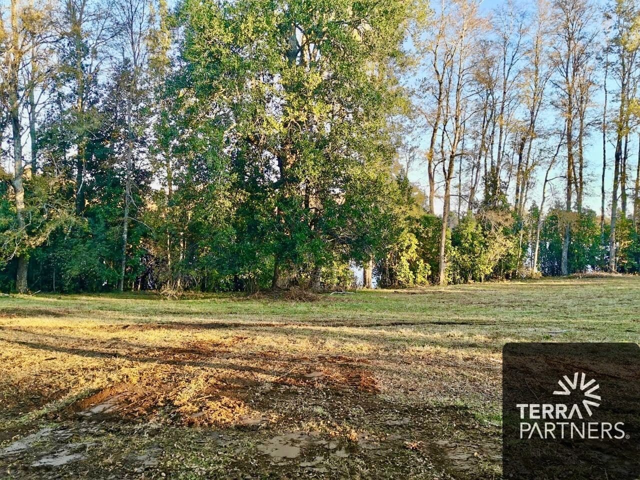 Parcela en venta en Villarrica — foto 1