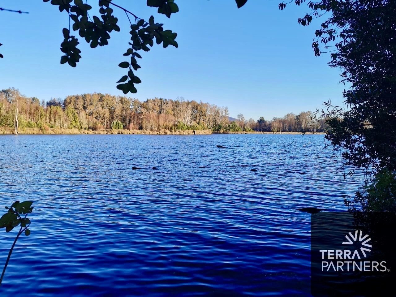 Parcela en venta en Villarrica — foto 5