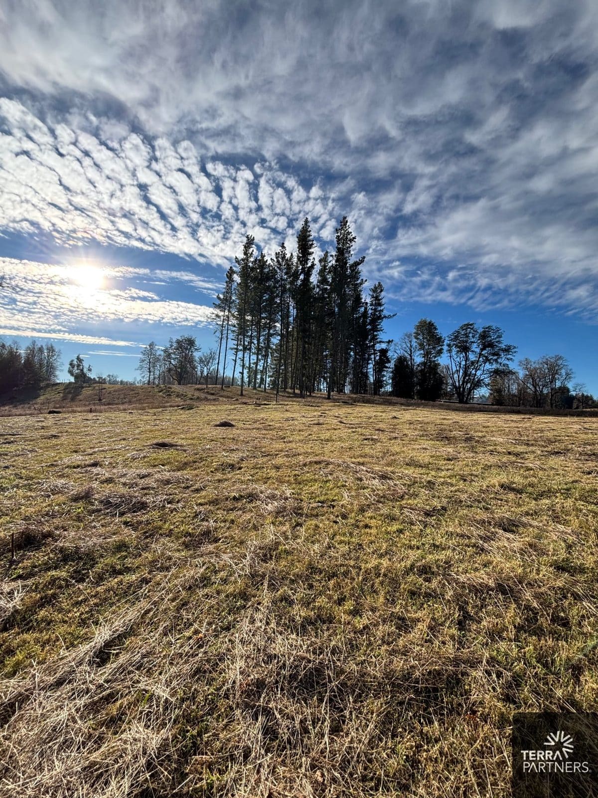 Parcela en venta en Villarrica — foto 3
