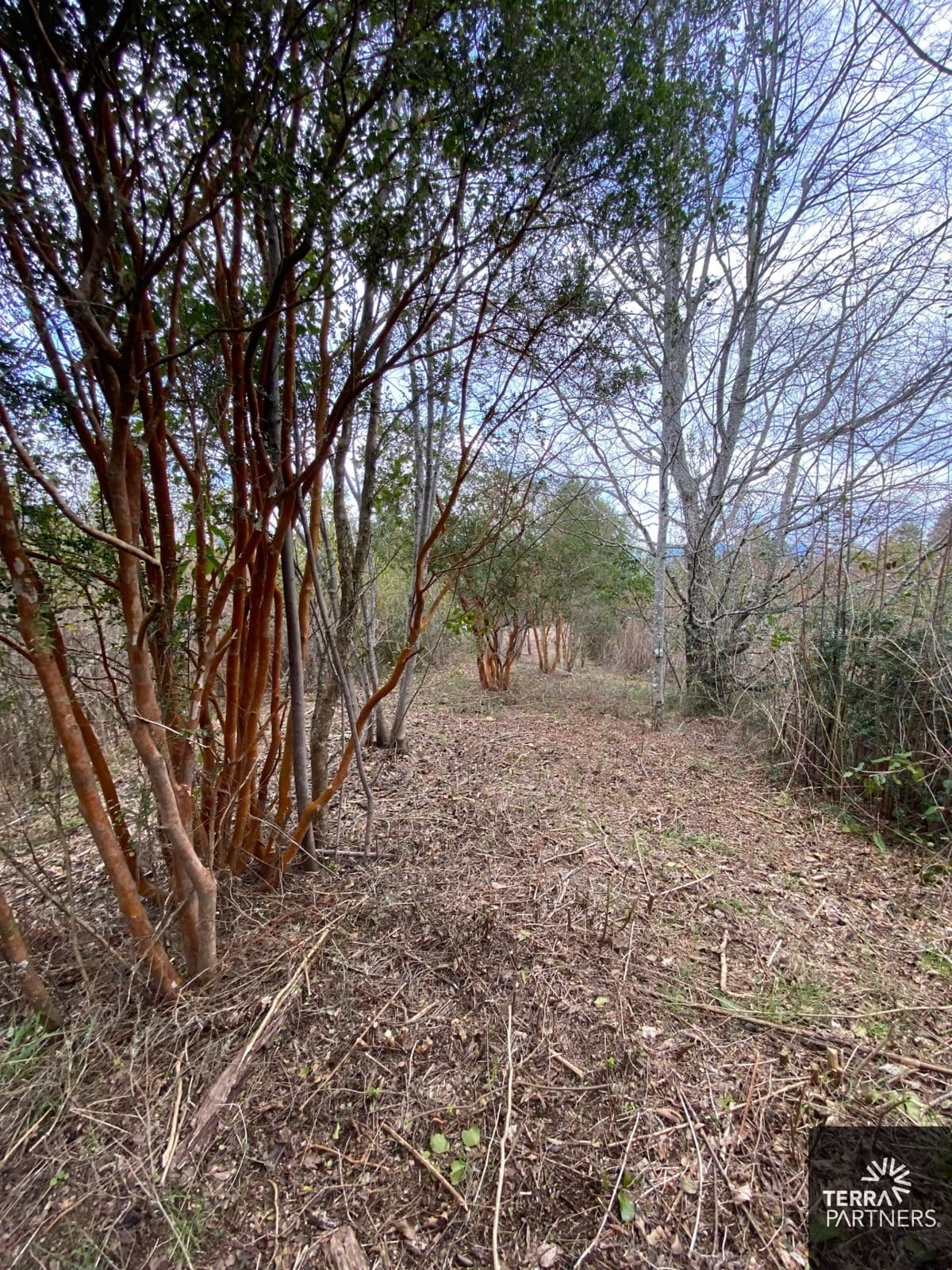 Parcela en venta en Pucón — foto 4