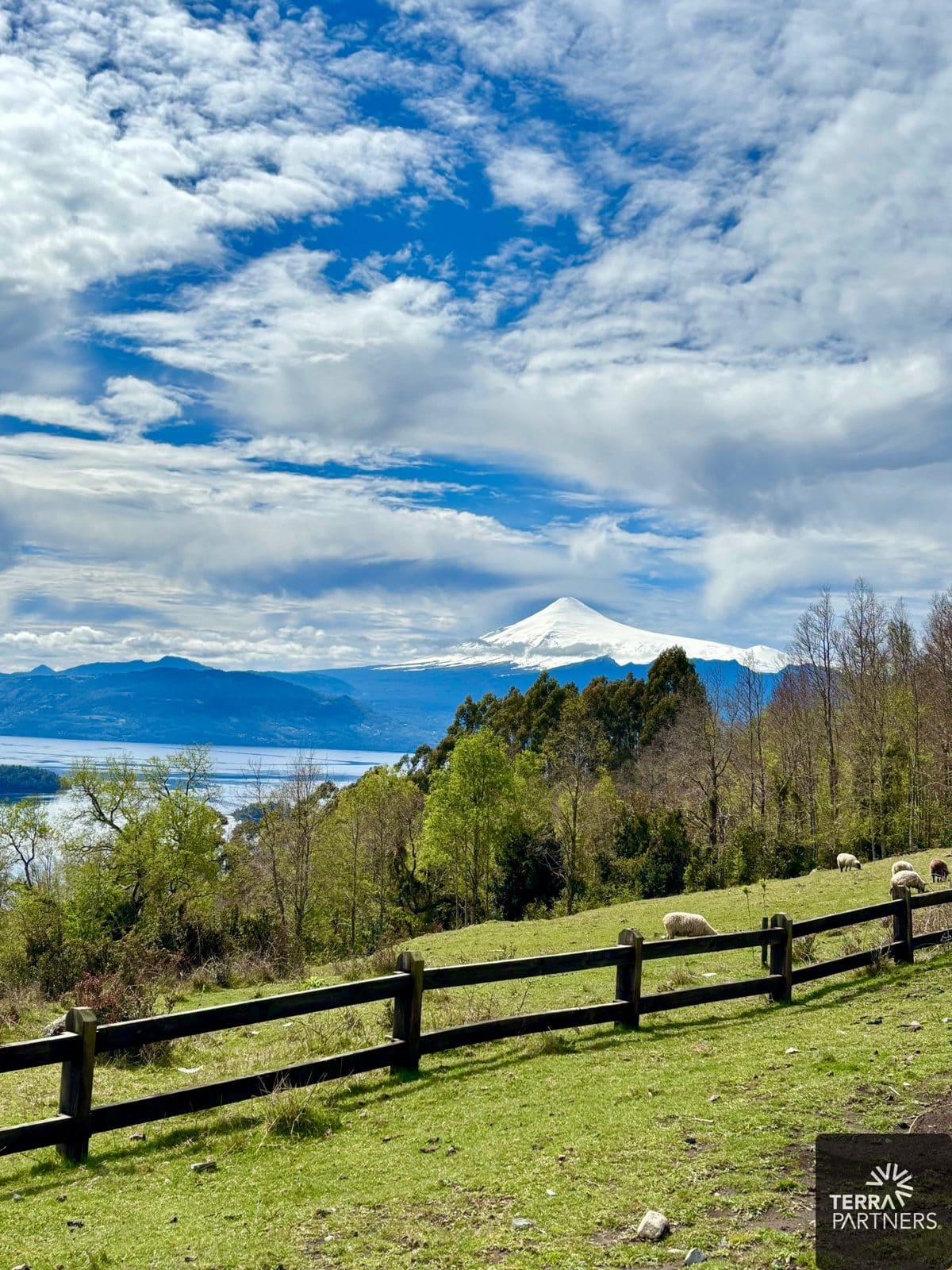 Parcela en venta en Panguipulli — foto 1
