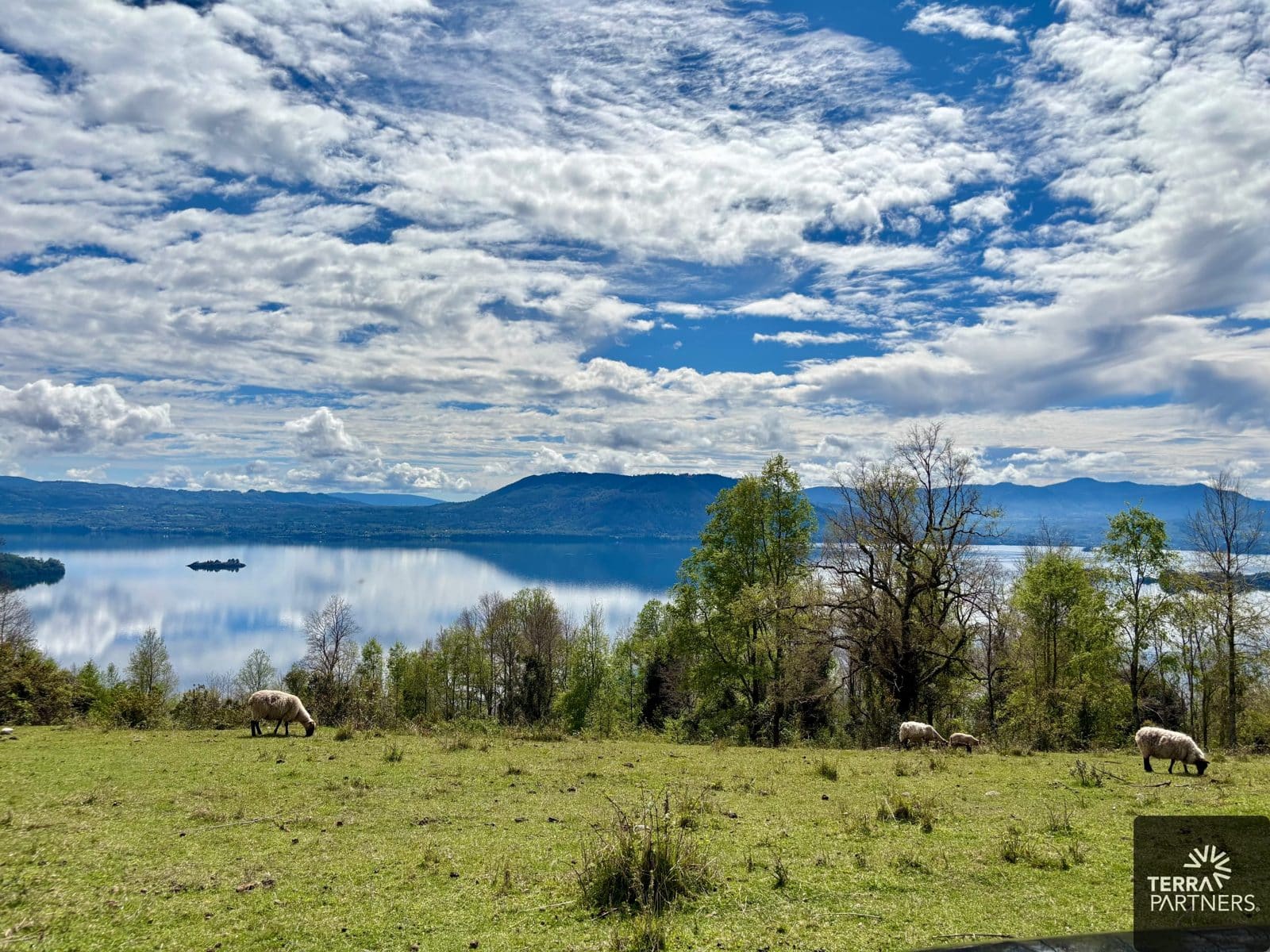 Parcela en venta en Panguipulli — foto 2