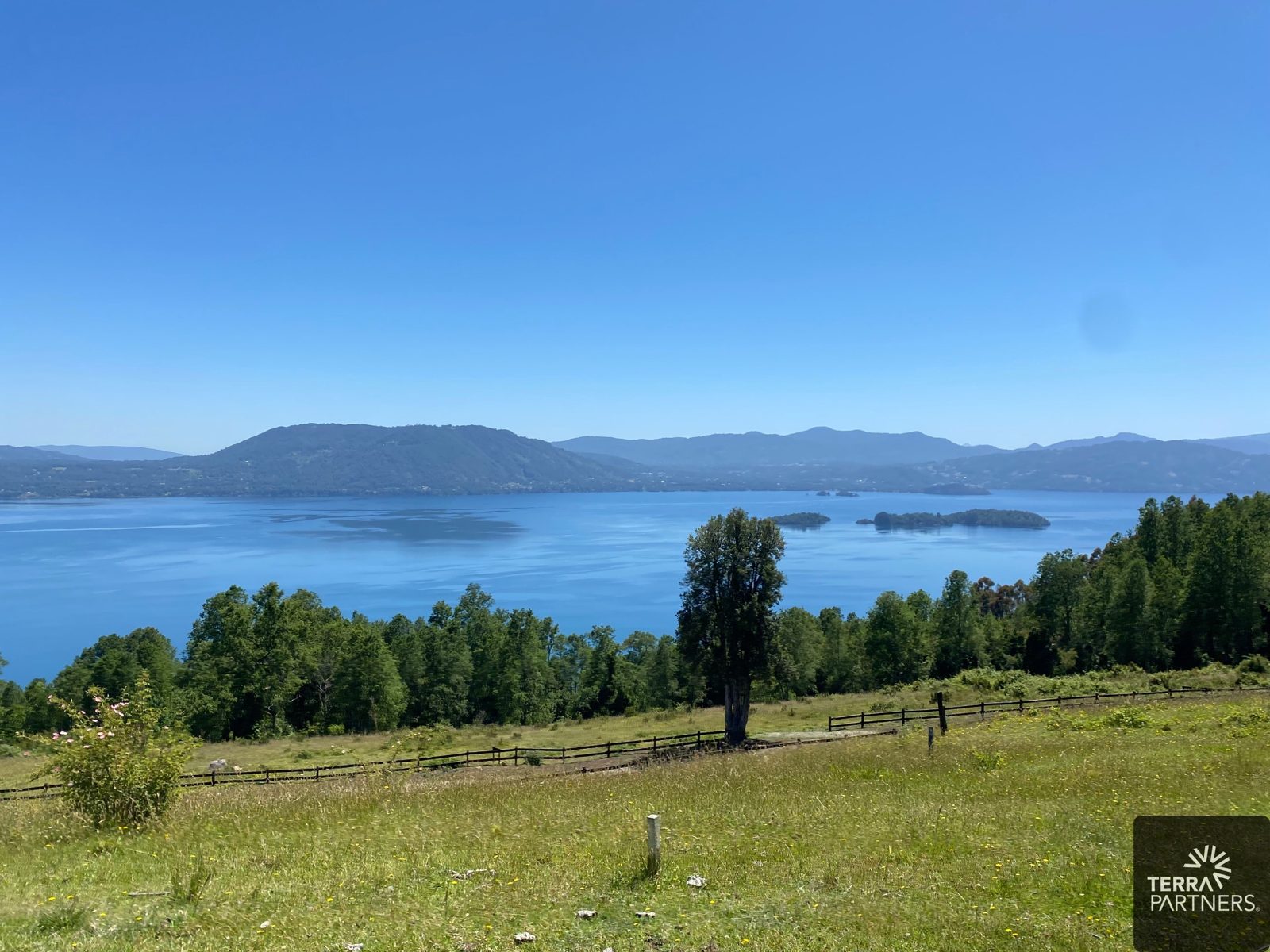 Parcela en venta en Panguipulli — foto 8