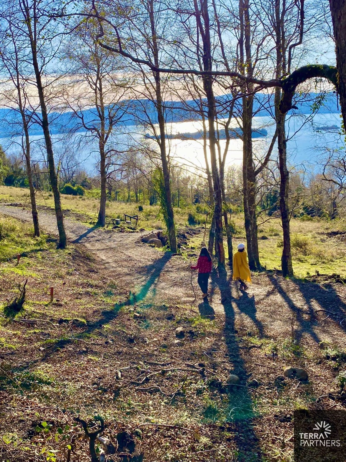 Parcela en venta en Panguipulli — foto 10