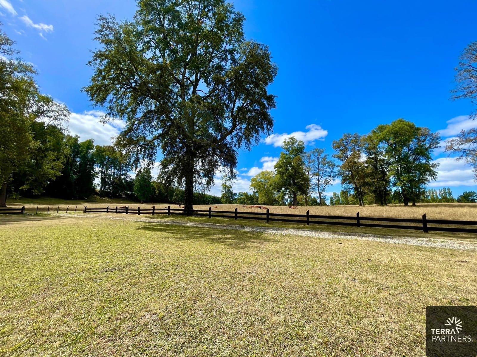 Parcela en venta en Villarrica — foto 4