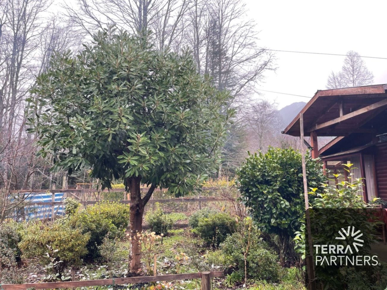 Casa en venta en Pucón — foto 2