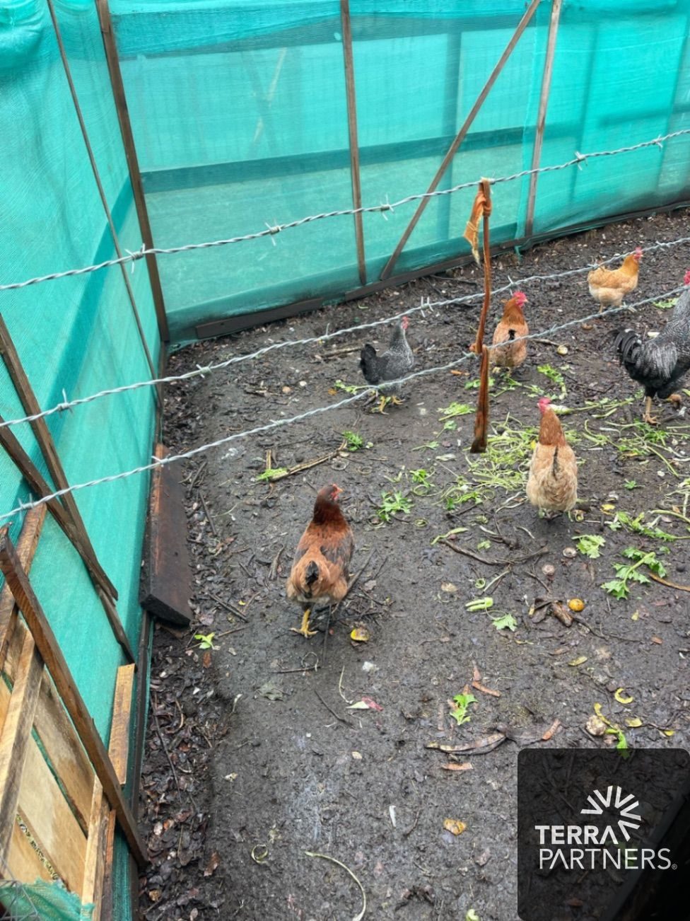 Casa en venta en Pucón — foto 5