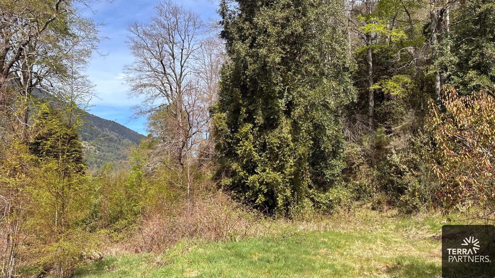 Parcela en venta en Pucón — foto 2