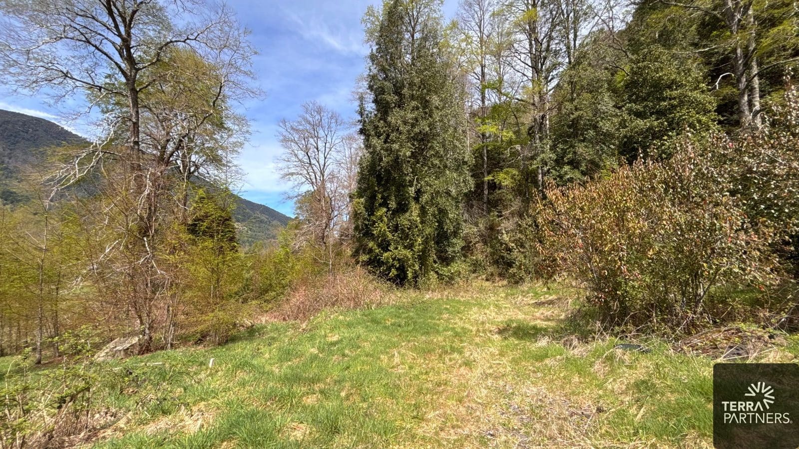 Parcela en venta en Pucón — foto 3