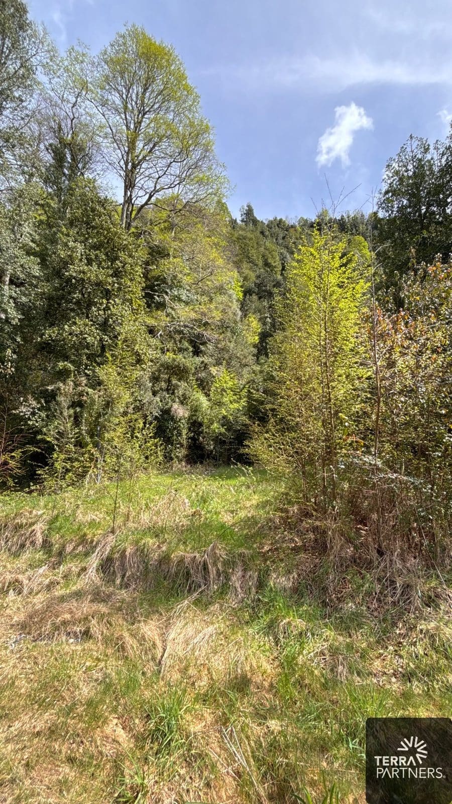 Parcela en venta en Pucón — foto 10
