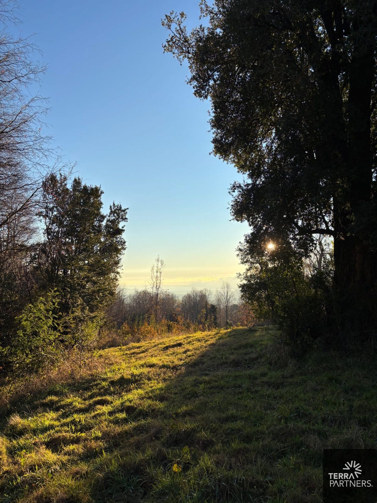 Parcela en venta en Pucón — foto 4