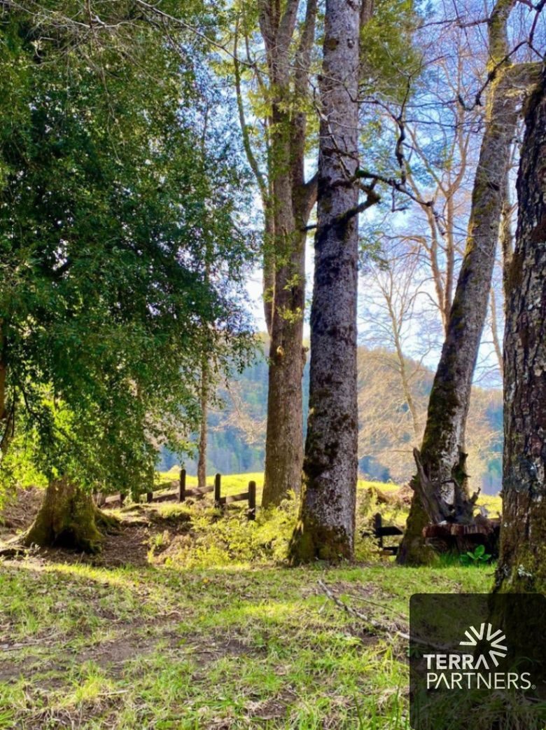 Parcela en venta en Pucón — foto 1