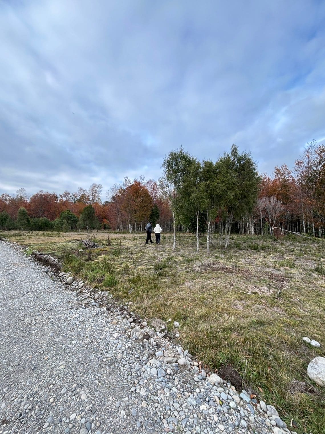 Parcela en venta en Villarrica — foto 10