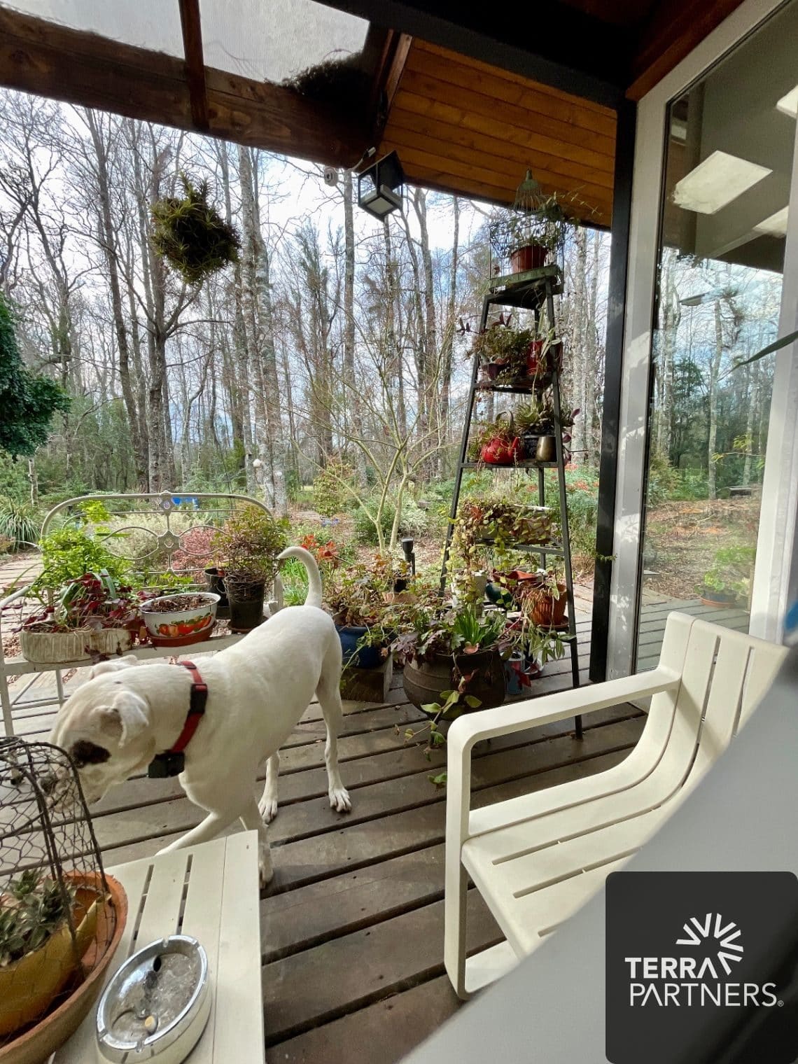 Casa en arriendo en Pucón — foto 6
