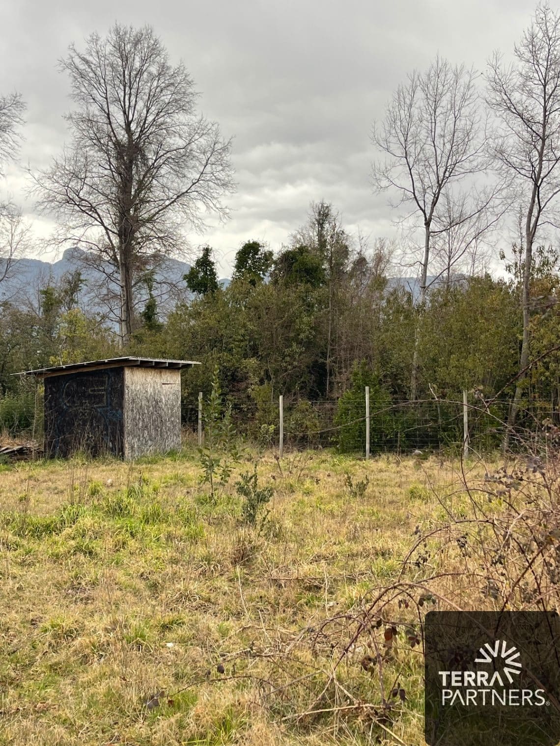 Terreno en venta en Pucón — foto 4