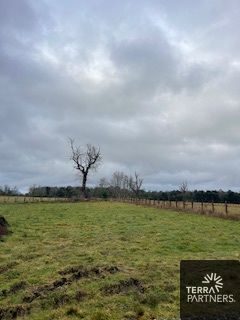 Parcela en venta en Panguipulli — foto 7