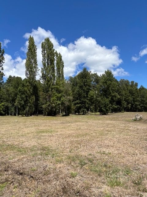 Parcela en venta en Villarrica — foto 4