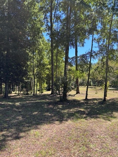 Parcela en venta en Villarrica — foto 5