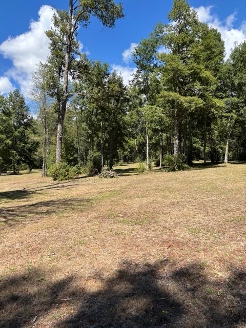 Parcela en venta en Villarrica — foto 7
