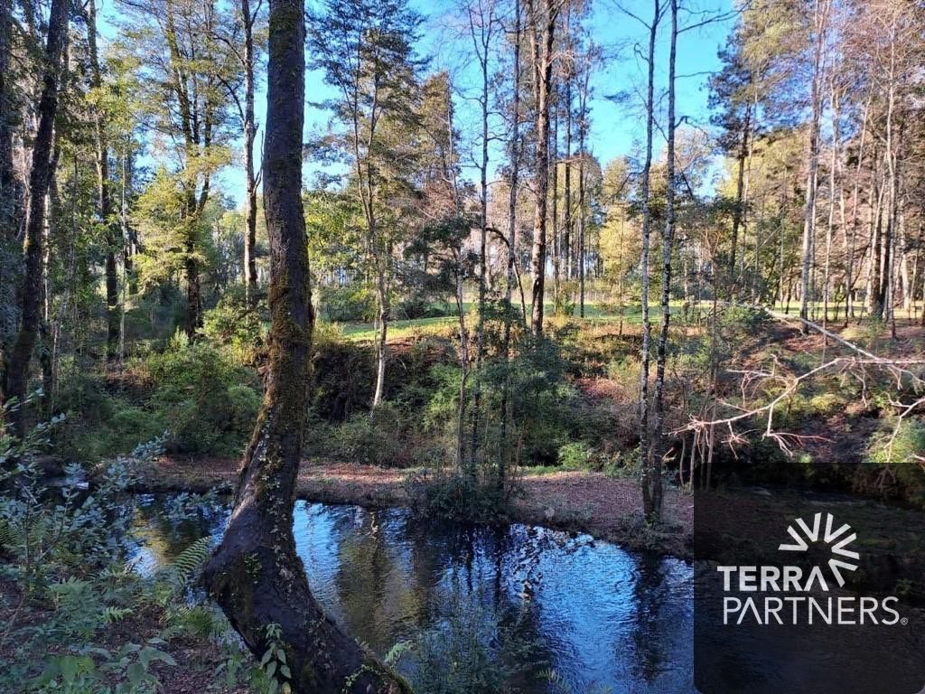 Parcela en venta en Villarrica — foto 10