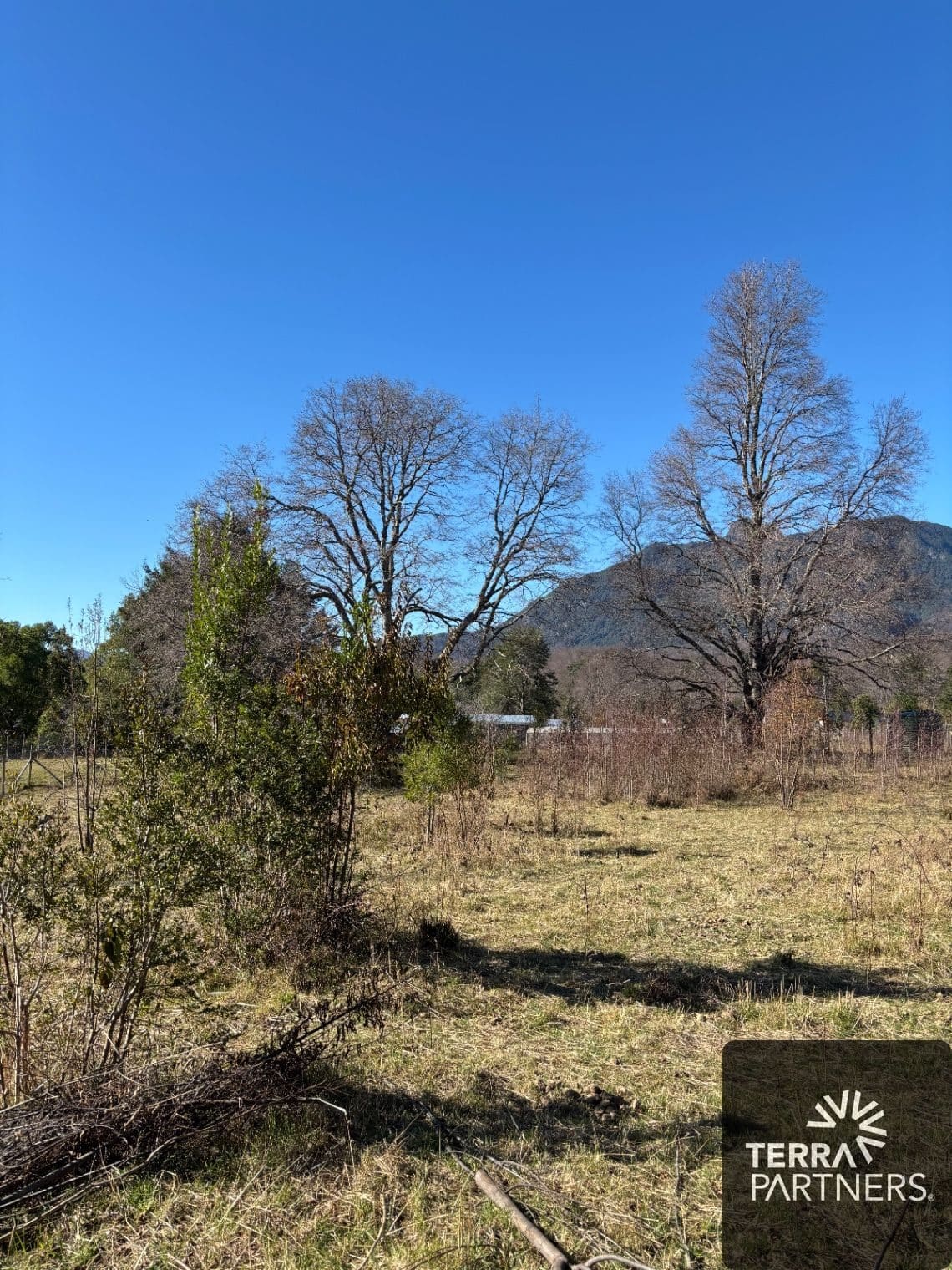 Parcela en venta en Pucón — foto 1
