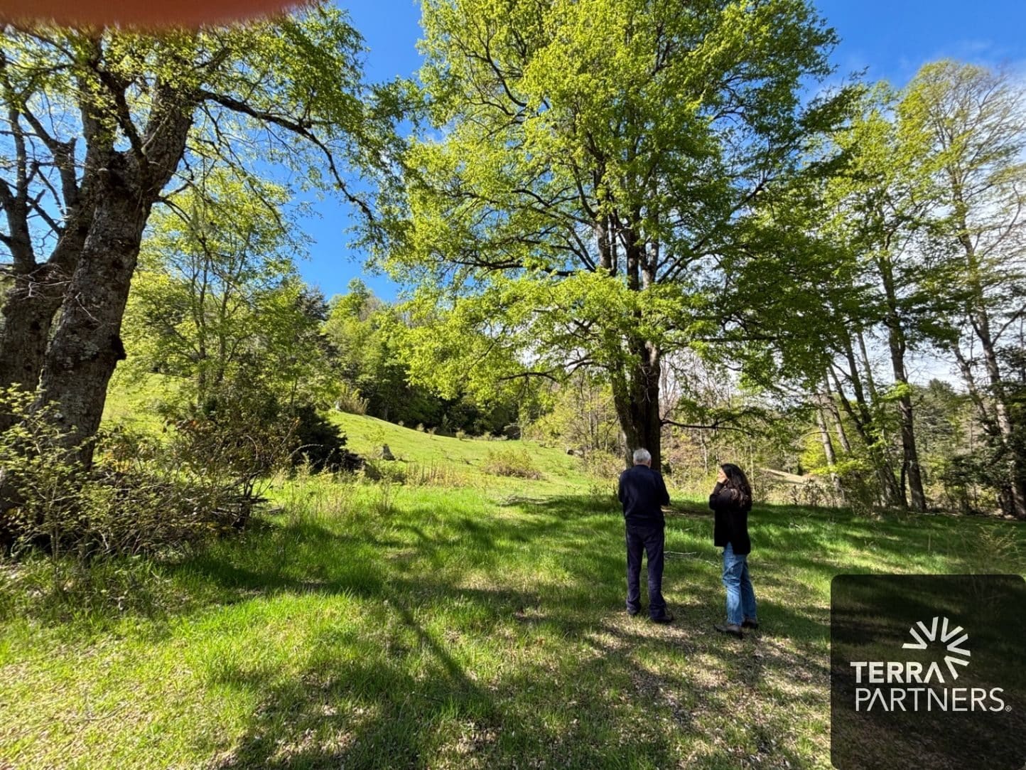 Parcela en venta en Curarrehue — foto 1