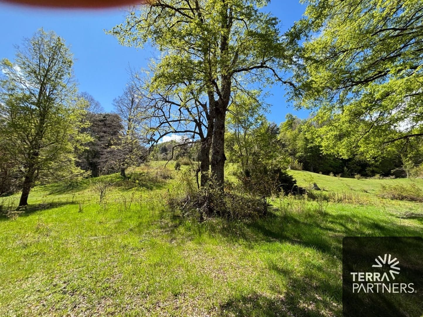 Parcela en venta en Curarrehue — foto 4
