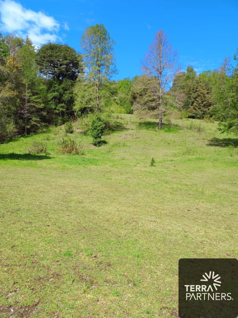 Parcela en venta en Curarrehue — foto 5