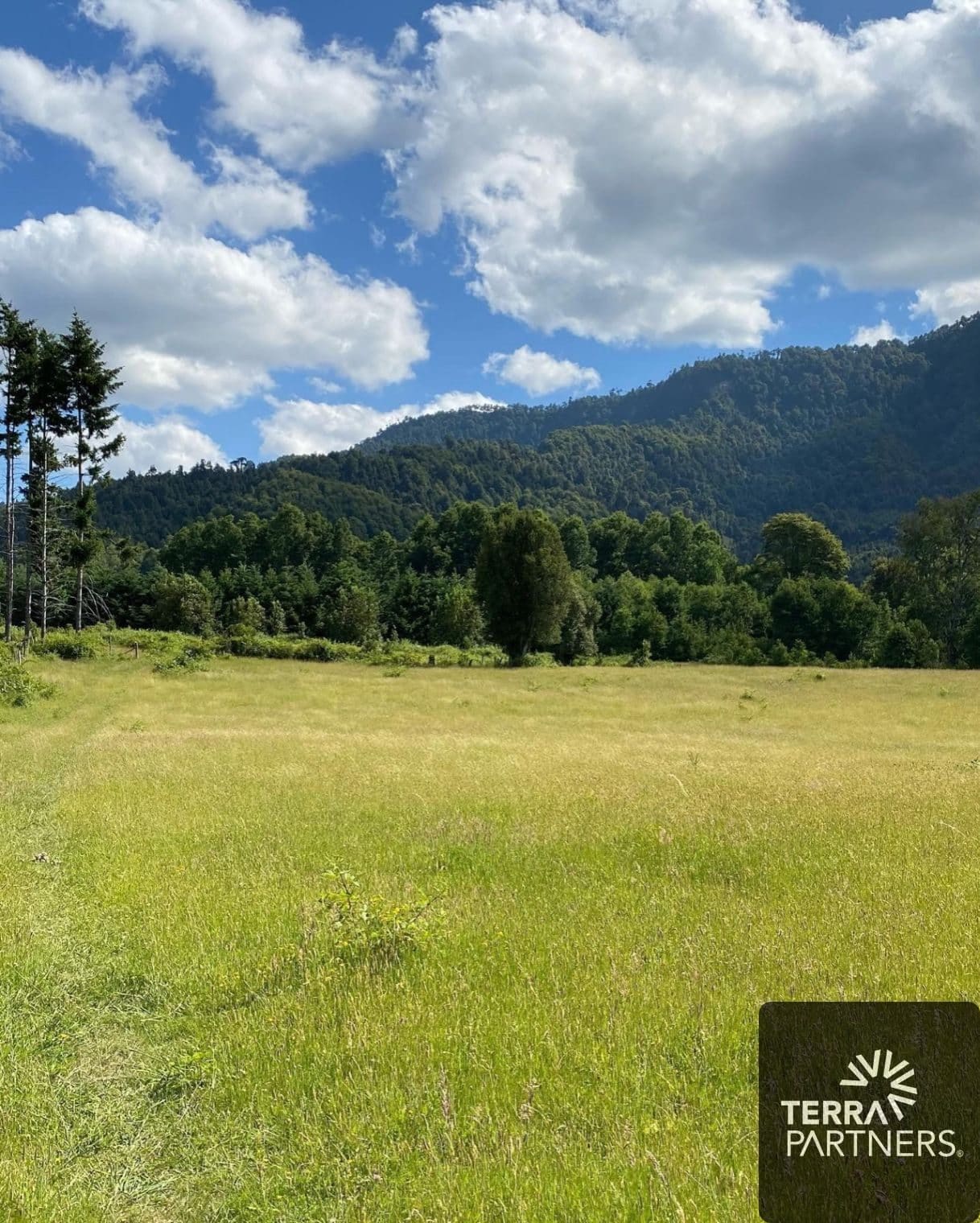 Parcela en venta en Villarrica — foto 5