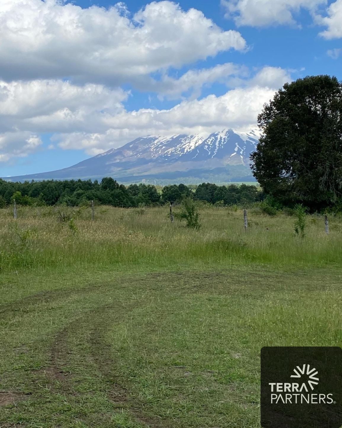 Parcela en venta en Villarrica — foto 6