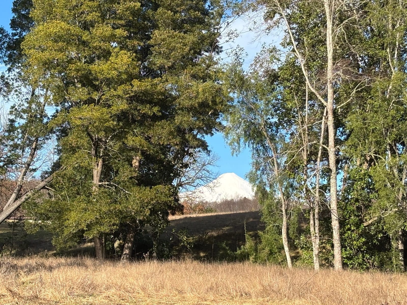 Parcela en venta en Villarrica — foto 2
