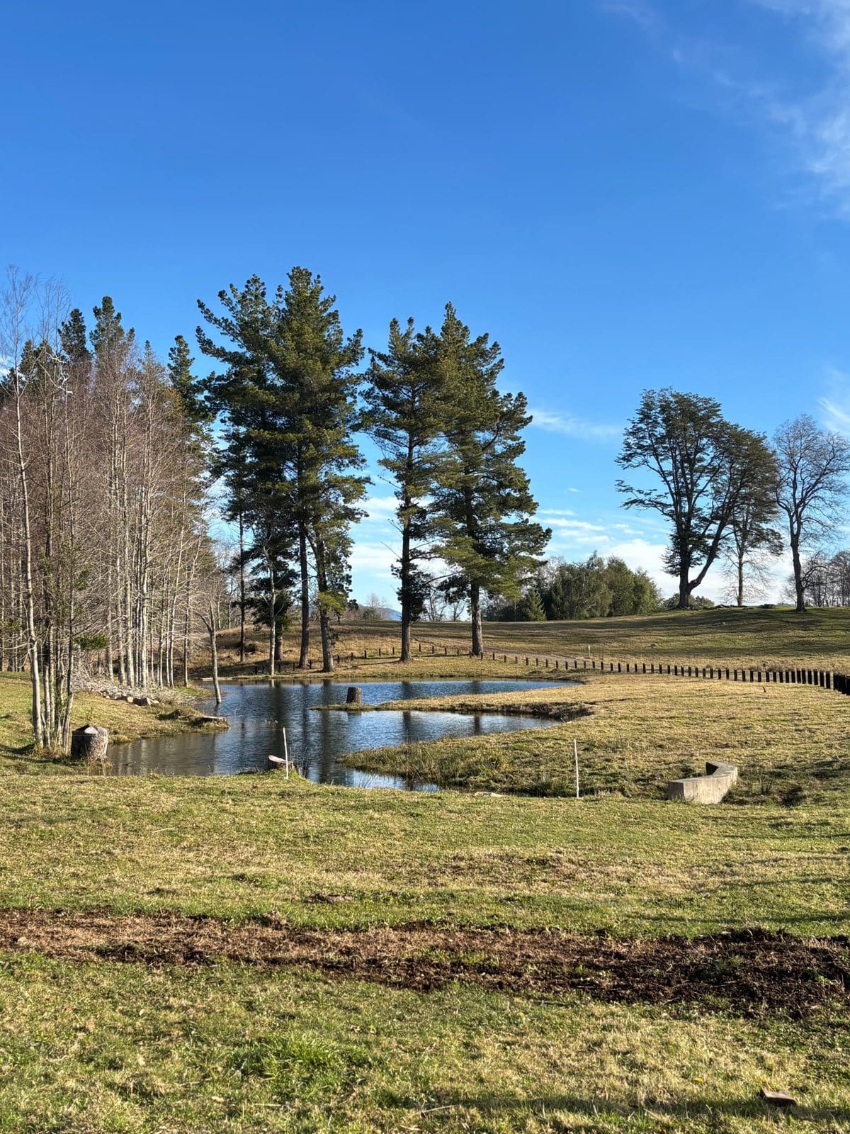 Parcela en venta en Villarrica — foto 4