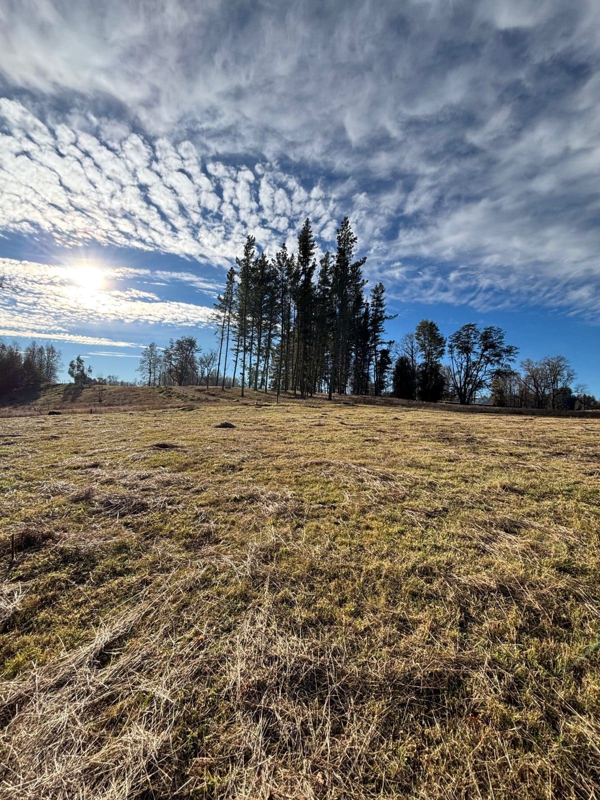 Parcela en venta en Villarrica — foto 5