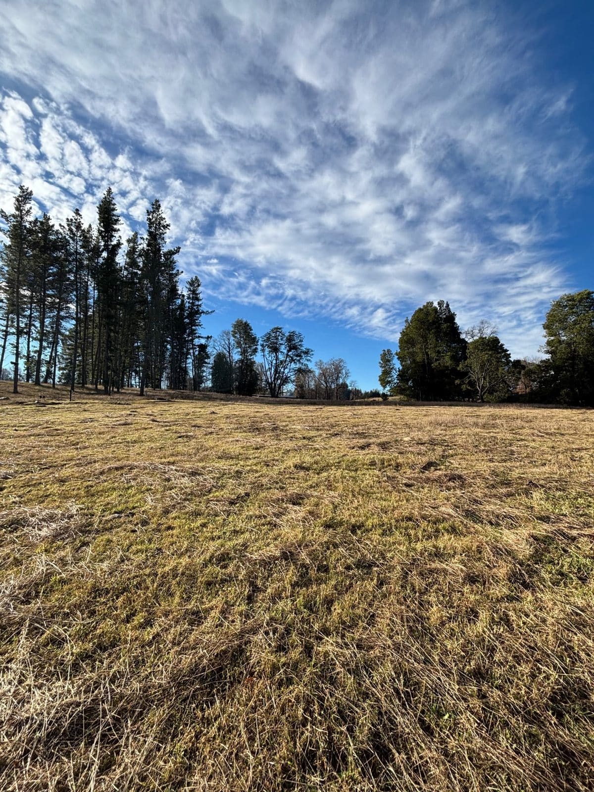 Parcela en venta en Villarrica — foto 6