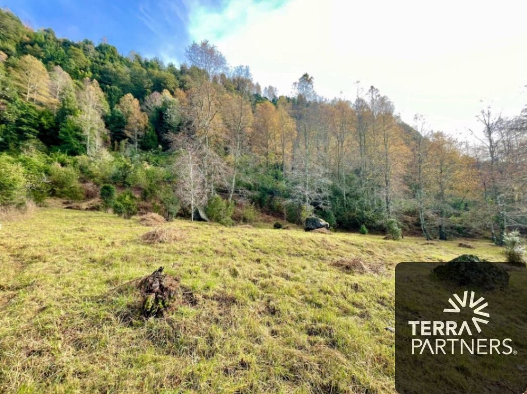 Parcela en venta en Pucón — foto 3