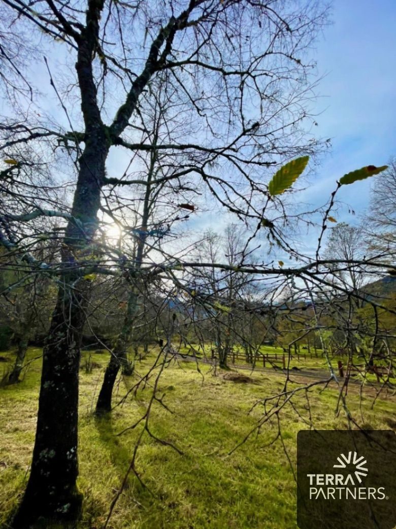 Parcela en venta en Pucón — foto 6