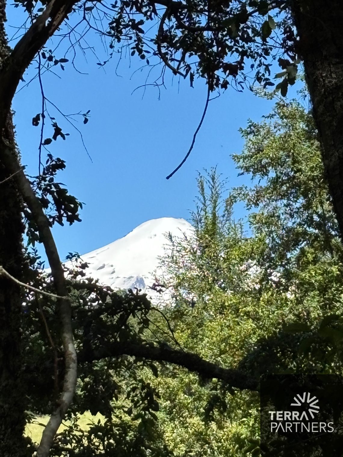 Parcela en venta en Pucón — foto 6