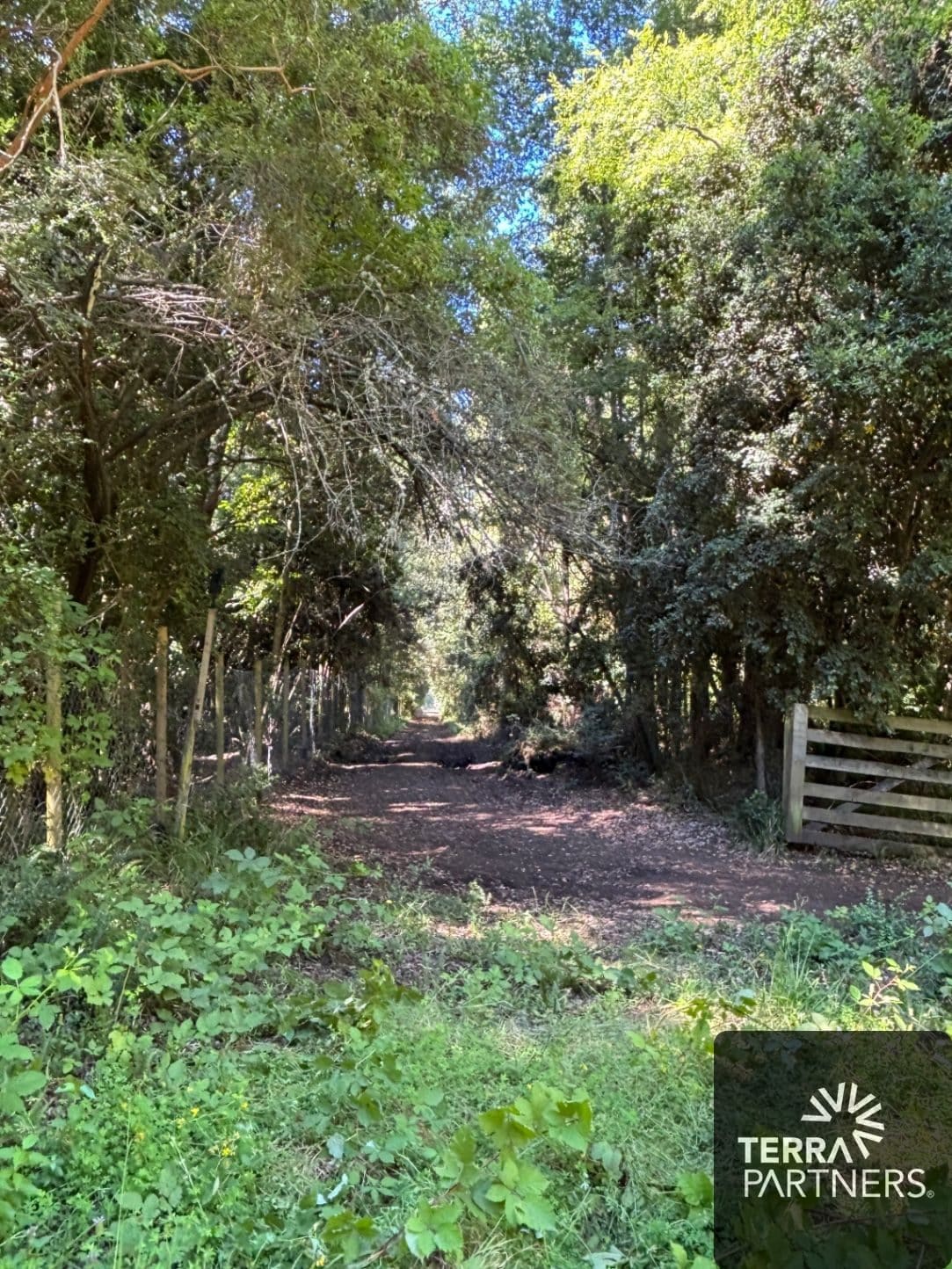 Parcela en venta en Pucón — foto 5