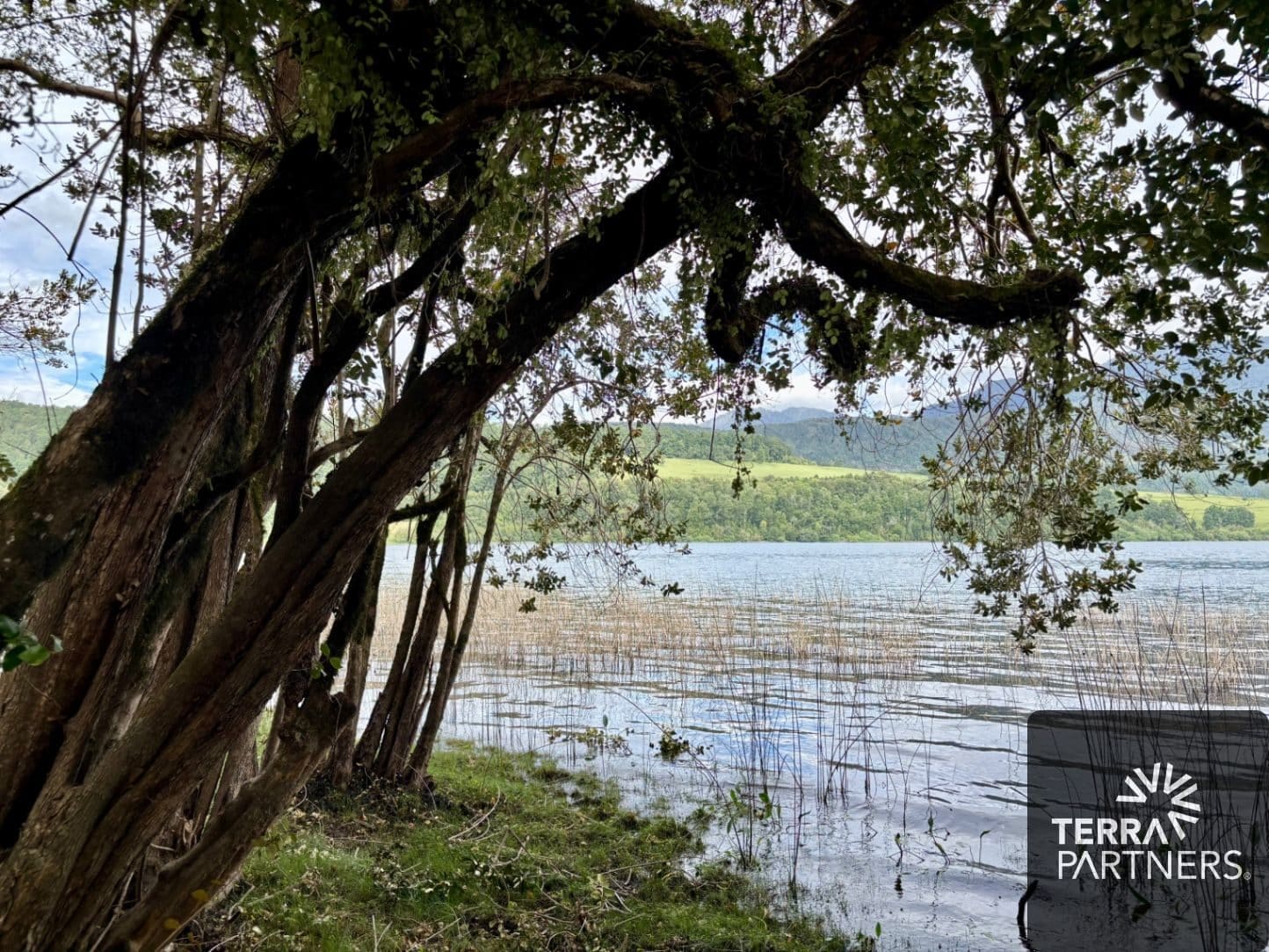 Parcela en venta en Panguipulli — foto 2
