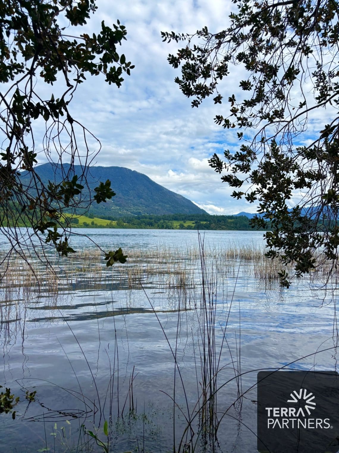 Parcela en venta en Panguipulli — foto 3