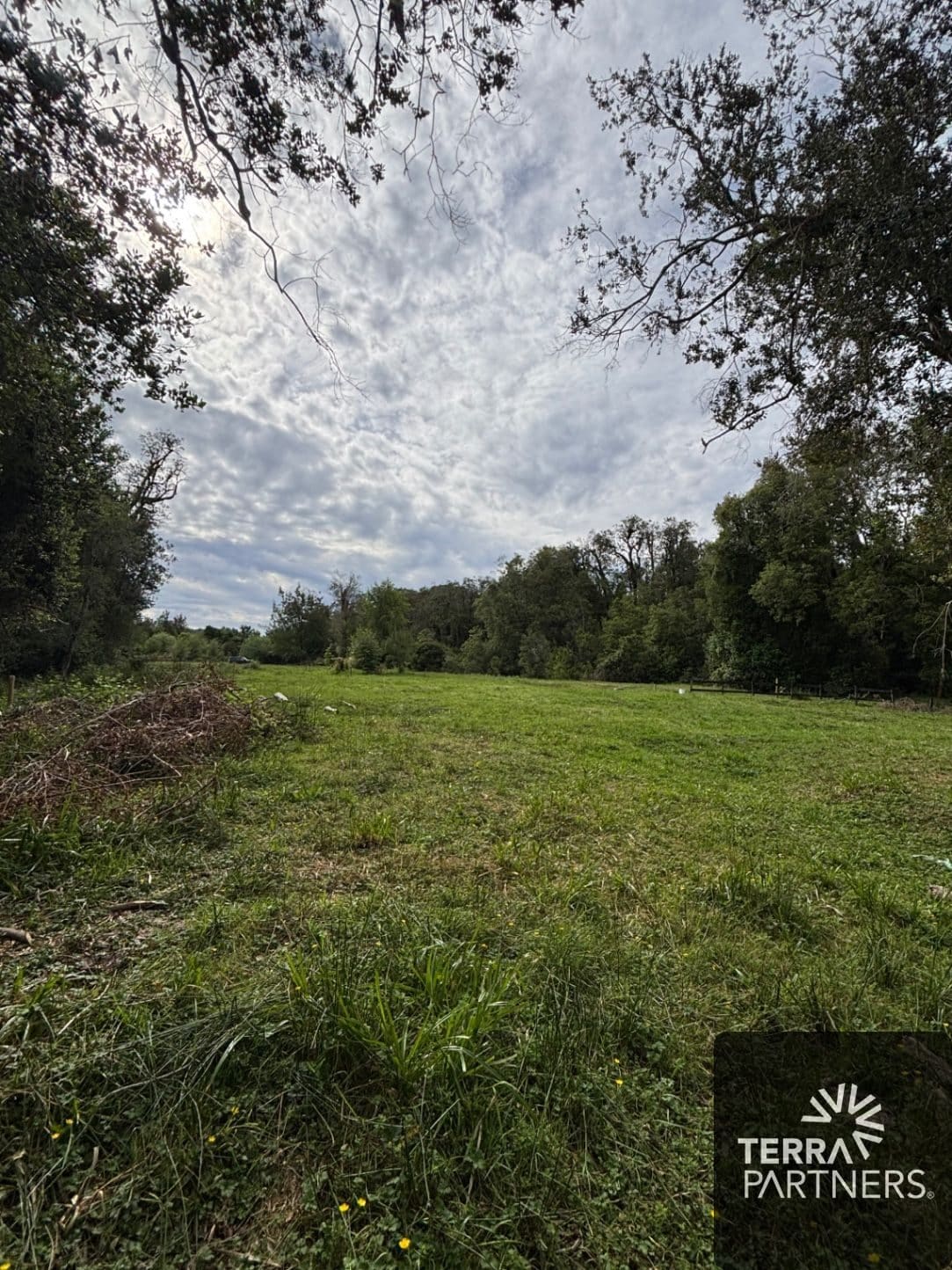 Parcela en venta en Panguipulli — foto 4