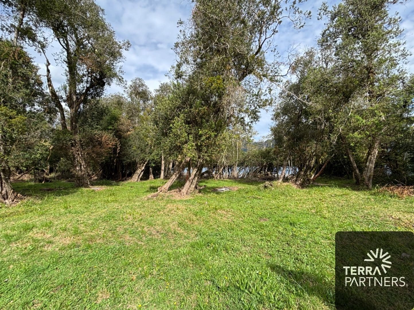 Parcela en venta en Panguipulli — foto 5