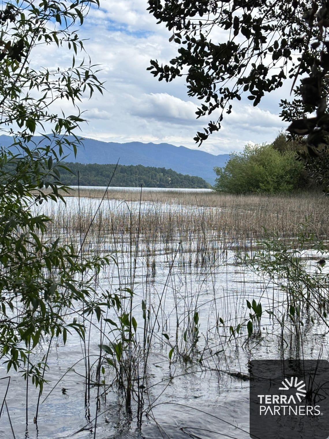 Parcela en venta en Panguipulli — foto 7