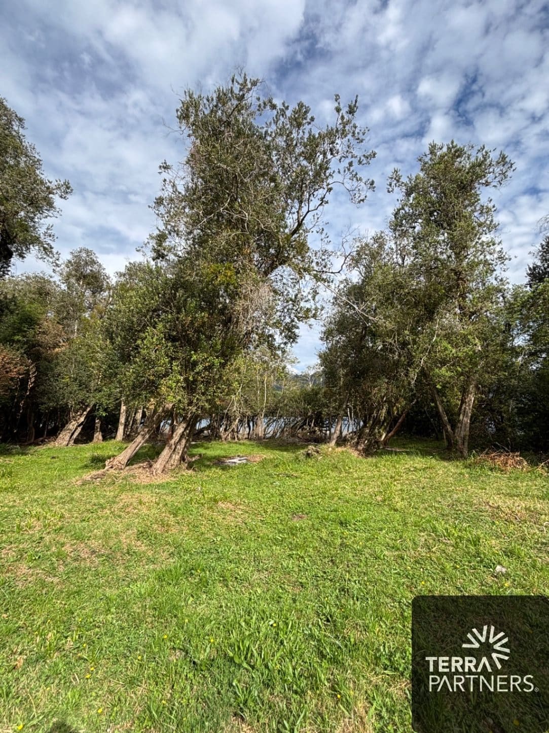 Parcela en venta en Panguipulli — foto 8