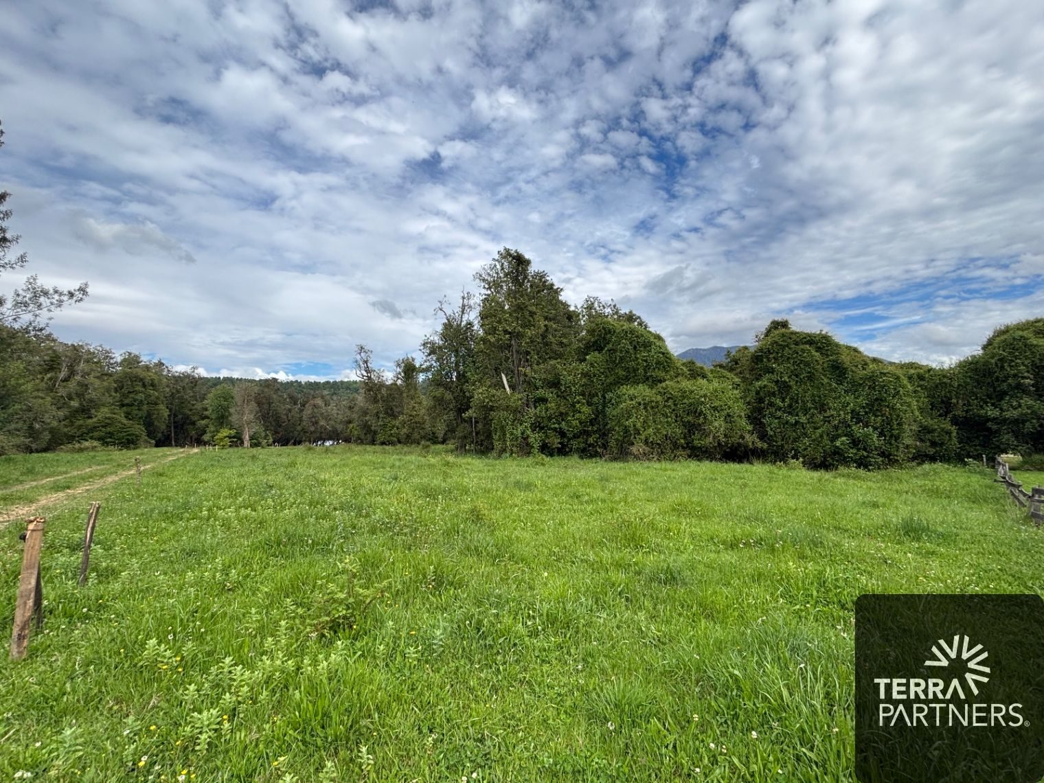 Parcela en venta en Panguipulli — foto 9