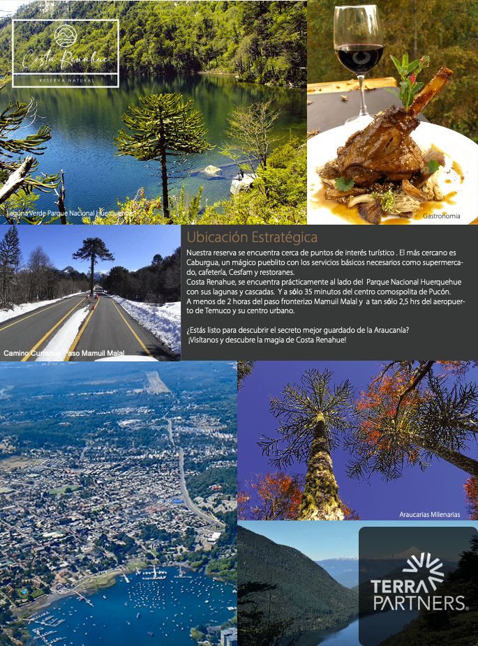 Parcela en venta en Pucón — foto 5