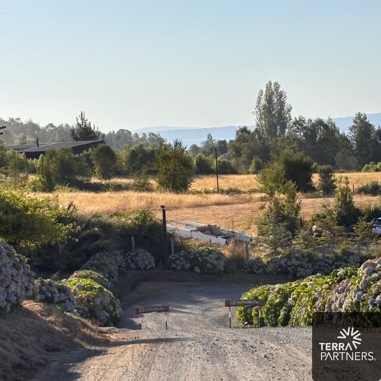Parcela en venta en Villarrica — foto 5