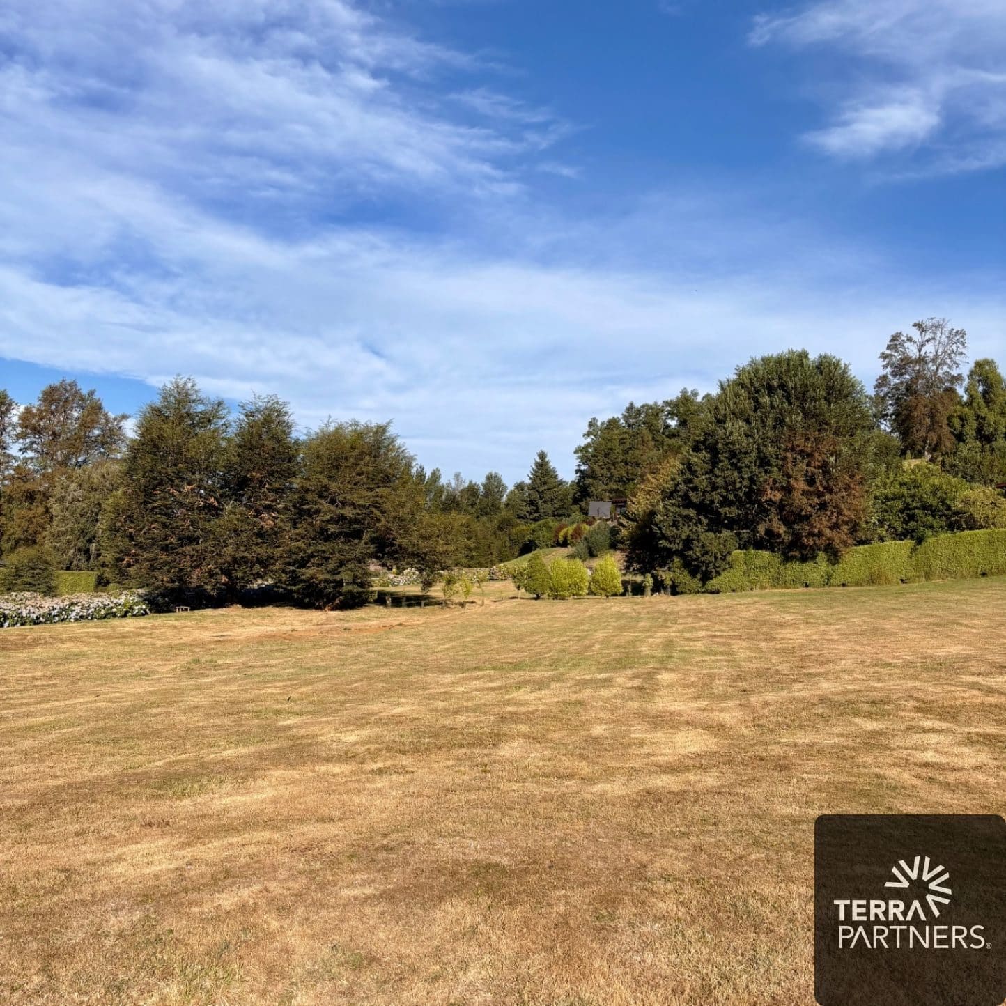 Parcela en venta en Villarrica — foto 9
